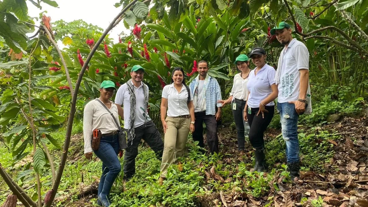 photologuephotos2024-08avanza_con_exito_el_proyecto_drummond_en_alianza_con_agroemprende_cacao_en_zona_rural_de_agustin_codazzi_cesar_1jpg photologuephotos2024-08avanza_con_exito_el_proyecto_drummond_en_alianza_con_agroemprende_cacao_en_zona_rural_de_agustin_codazzi_cesar_1jpg