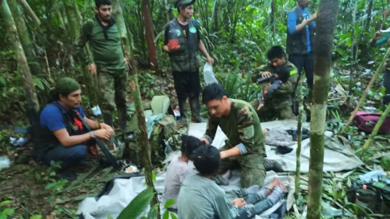 photologuephotos2024-06los_detalles_desconocidos_de_como_los_ninos_del_amazonas_sobrevivieron_40_dias_en_la_selvajpg photologuephotos2024-06los_detalles_desconocidos_de_como_los_ninos_del_amazonas_sobrevivieron_40_dias_en_la_selvajpg
