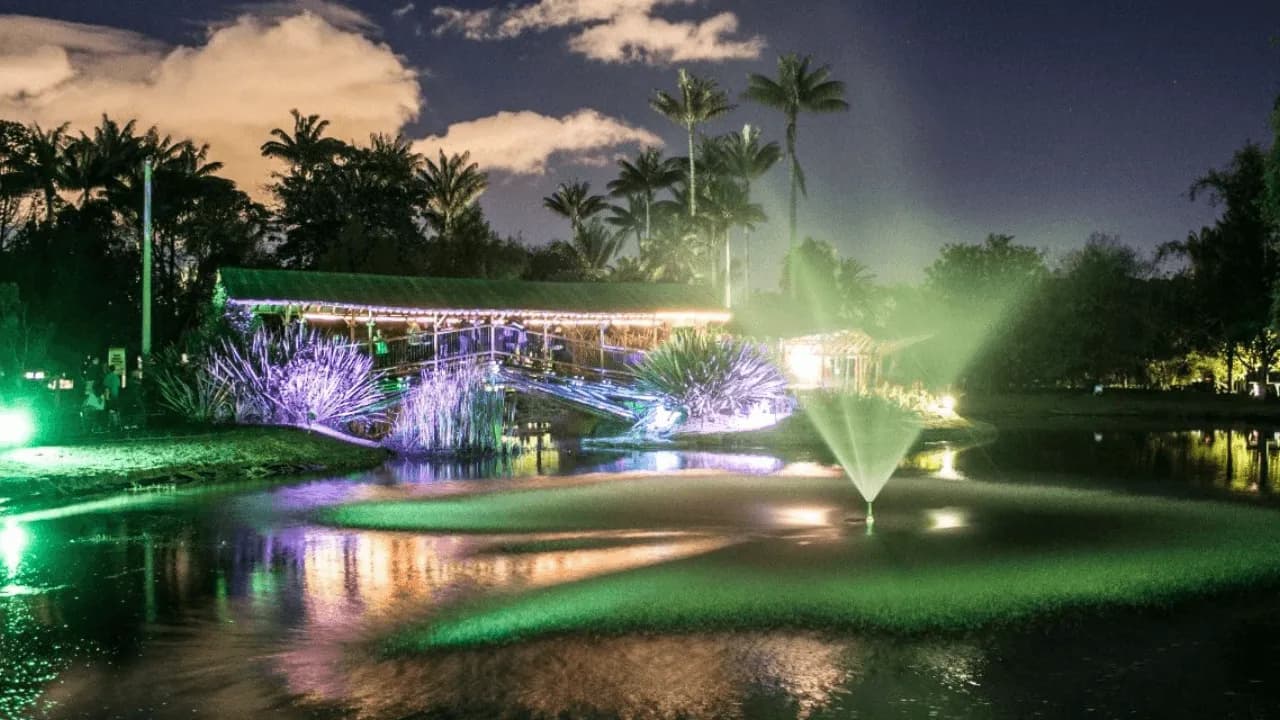 photologuephotos2024-08jardin-botanico-de-nochepng photologuephotos2024-08jardin-botanico-de-nochepng