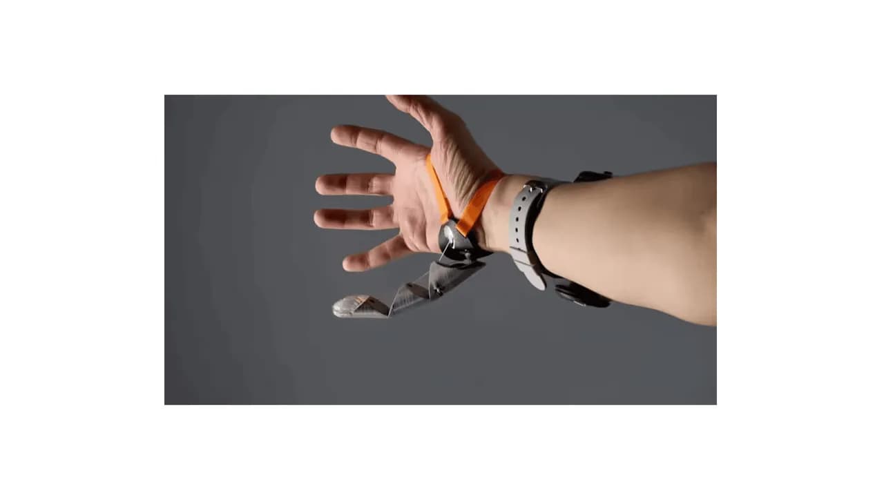 photologuephotos2024-08dedo_gordopng photologuephotos2024-08dedo_gordopng