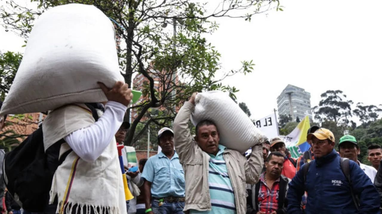 photologuephotos2024-10paro_campesino_en_colombiajpg photologuephotos2024-10paro_campesino_en_colombiajpg