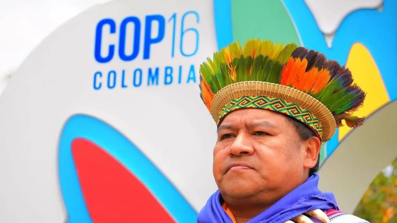 photologuephotos2024-10pueblos_indigenas_cop_16_minambiente_0jpg photologuephotos2024-10pueblos_indigenas_cop_16_minambiente_0jpg