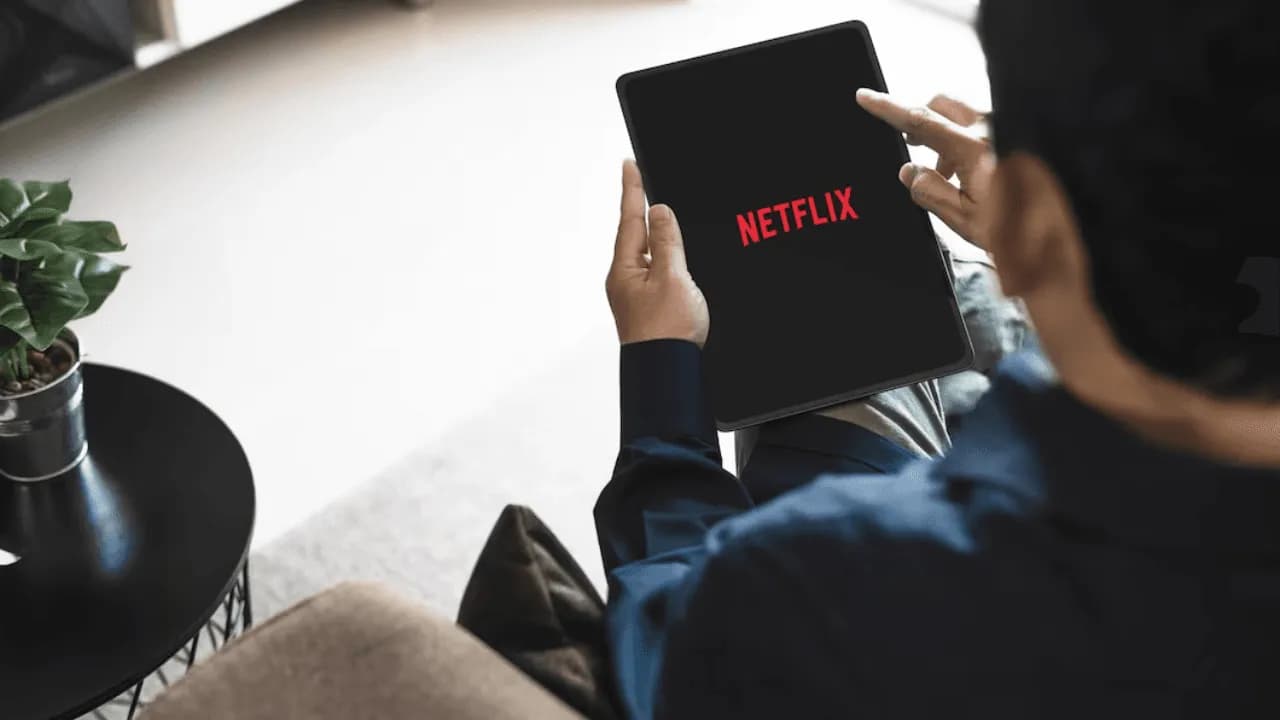 photologuephotos2024-10netflix-palestina-contenidopng photologuephotos2024-10netflix-palestina-contenidopng