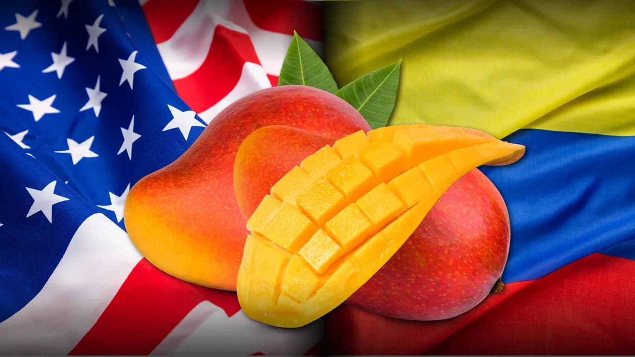 photologuephotos2022-12mangos-usa_2jpg photologuephotos2022-12mangos-usa_2jpg