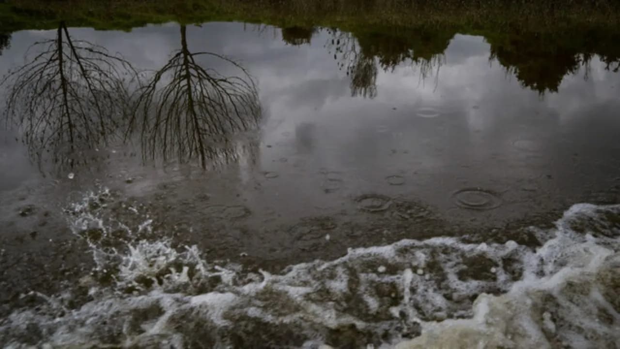 photologuephotos2025-01contaminacion_del_rio_bogotajpg photologuephotos2025-01contaminacion_del_rio_bogotajpg