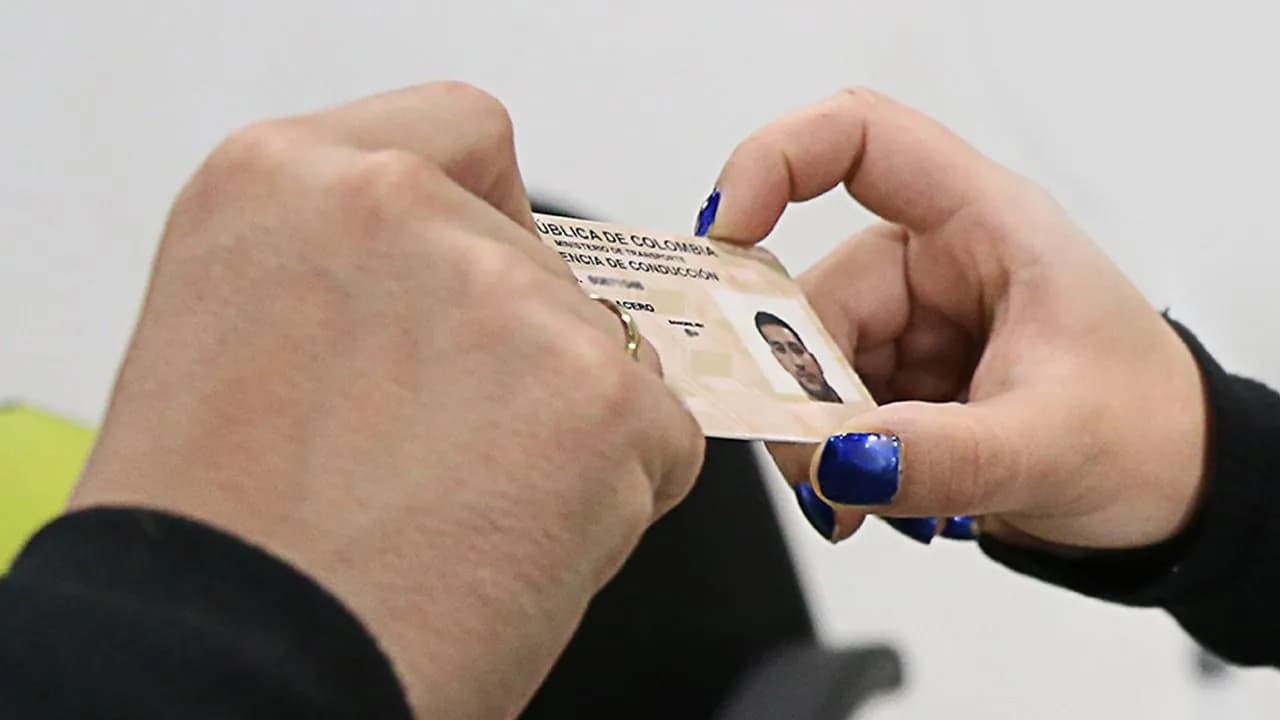 photologuephotos2025-01licencia_de_conduccionjpg photologuephotos2025-01licencia_de_conduccionjpg