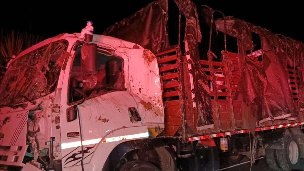photologuephotos2025-03camiones_del_ejercito_fueron_atacados_con_explosivos_en_el_cauca_al_menos_cuatro_militares_resultaron_heridosjpg photologuephotos2025-03camiones_del_ejercito_fueron_atacados_con_explosivos_en_el_cauca_al_menos_cuatro_militares_resultaron_heridosjpg