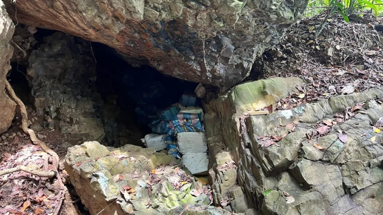 photologuephotos2025-03hallan_una_tonelada_de_cocaina_en_una_cueva_en_choco_asi_fue_el_operativo_2jpg photologuephotos2025-03hallan_una_tonelada_de_cocaina_en_una_cueva_en_choco_asi_fue_el_operativo_2jpg