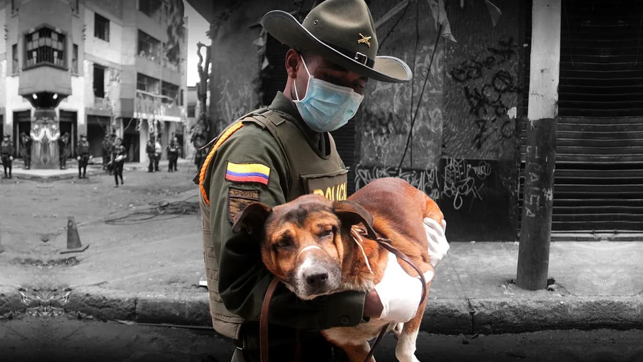 photologuephotos2022-07policiaanimal_0jpg photologuephotos2022-07policiaanimal_0jpg