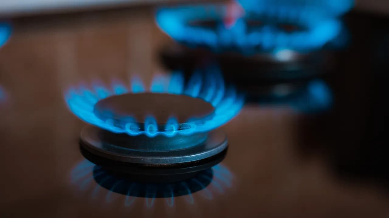 photologuephotos2025-03modern-kitchen-stove-cook-with-blue-flames-burningjpg photologuephotos2025-03modern-kitchen-stove-cook-with-blue-flames-burningjpg