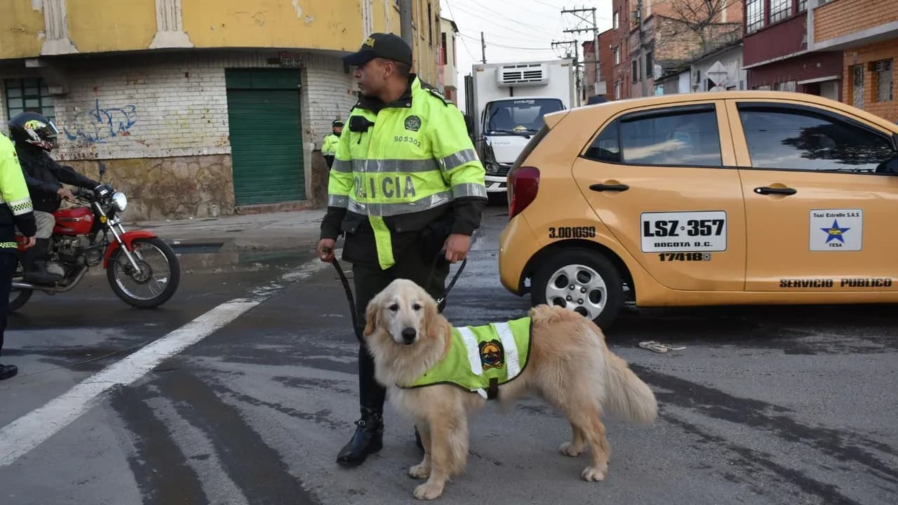 photologuephotos2025-03portada_policiajpg photologuephotos2025-03portada_policiajpg