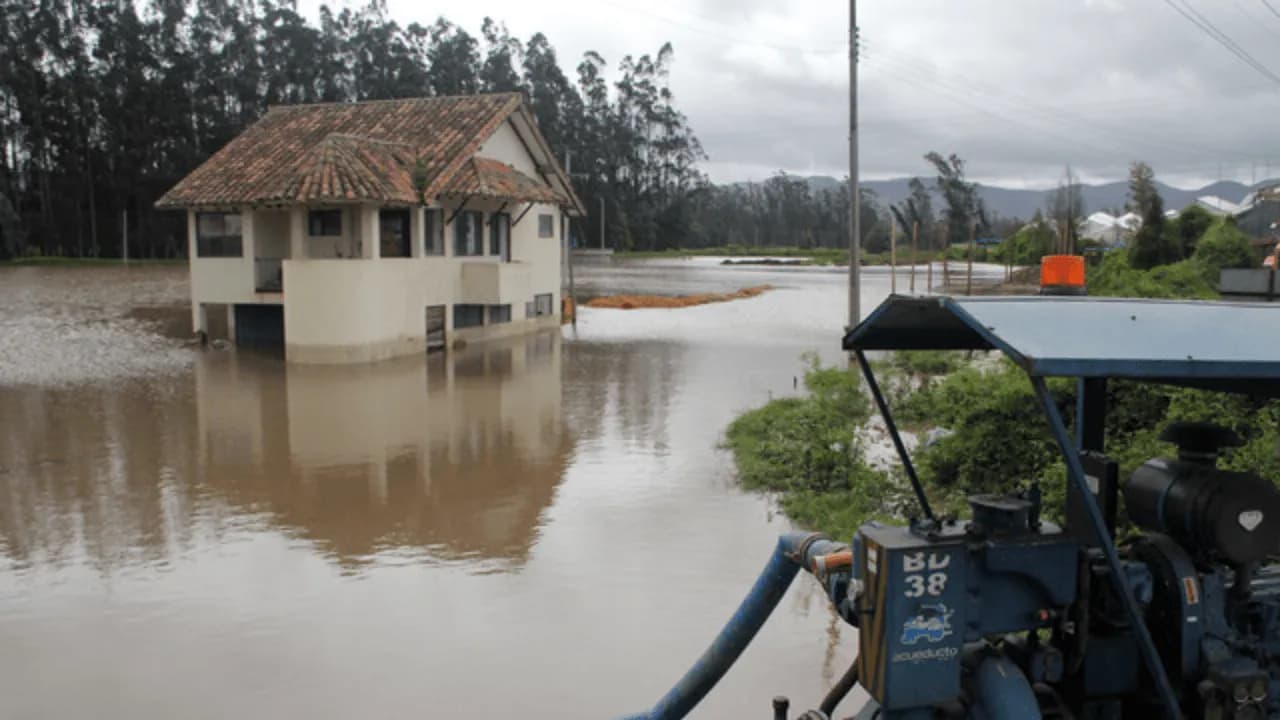 photologuephotos2025-05tamano_de_fotos_74png photologuephotos2025-05tamano_de_fotos_74png