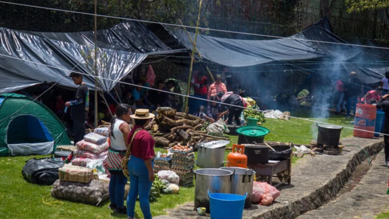 photologuephotos2025-05minga_indigena_en_el_parque_nacionaljpg photologuephotos2025-05minga_indigena_en_el_parque_nacionaljpg