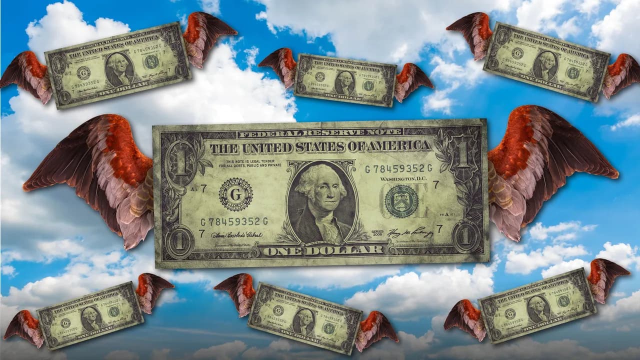 photologuephotos2022-10dolar-alas_1jpg photologuephotos2022-10dolar-alas_1jpg