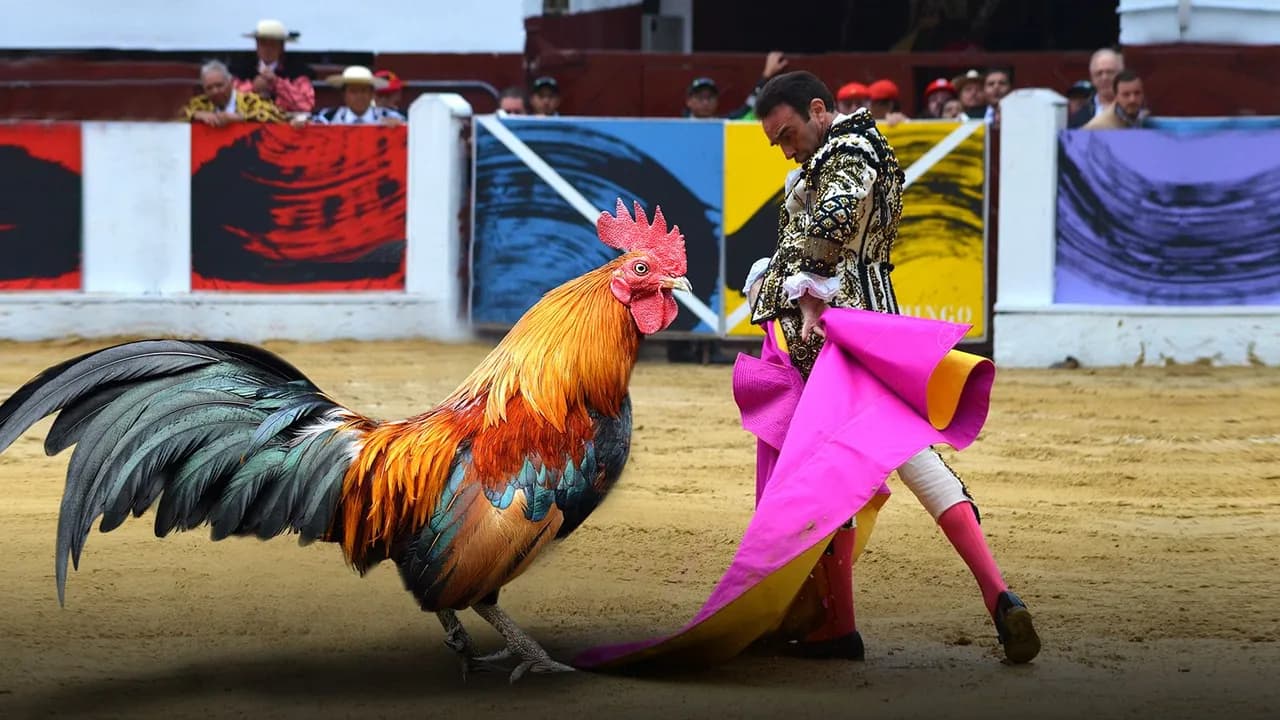 photologuephotos2022-09toros-gallos_1_0jpg photologuephotos2022-09toros-gallos_1_0jpg
