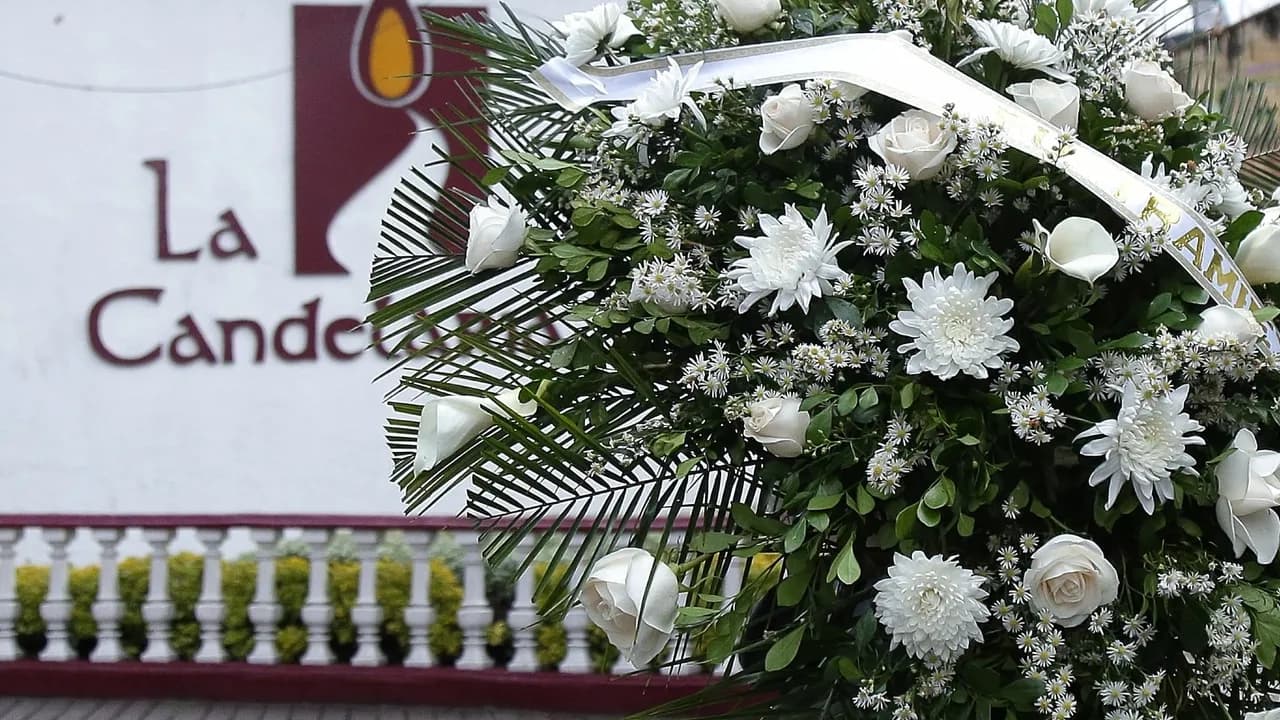 Candelaria floras Candelaria floras