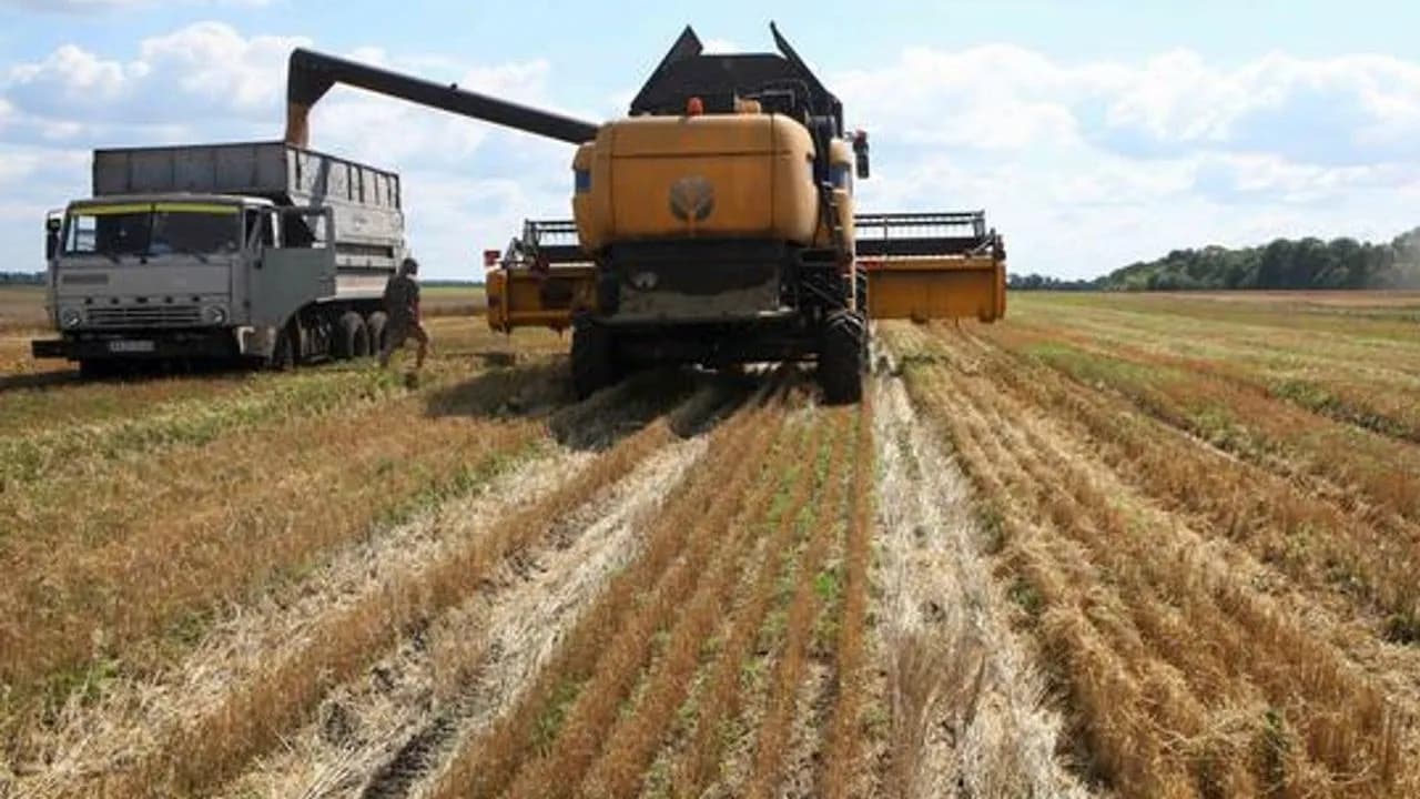 photologuephotos2022-09el_mundo_depende_del_sector_agricolajpg photologuephotos2022-09el_mundo_depende_del_sector_agricolajpg