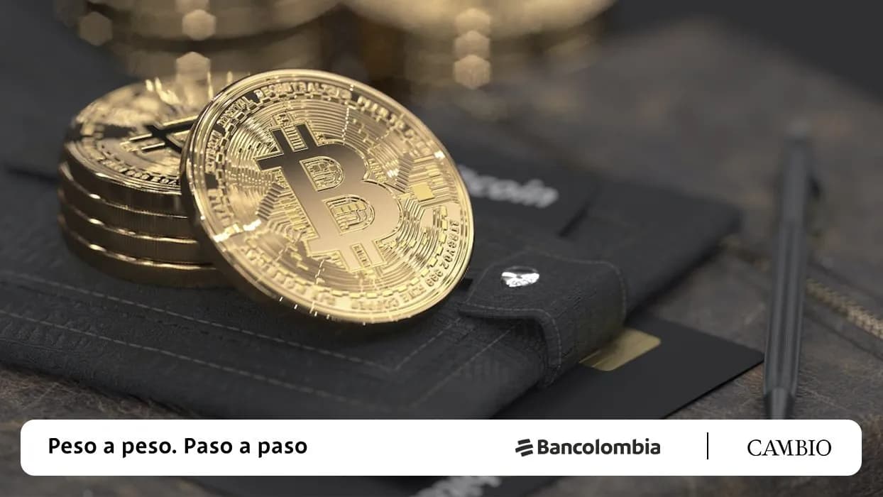 photologuephotos2022-10cripto_principaljpg photologuephotos2022-10cripto_principaljpg