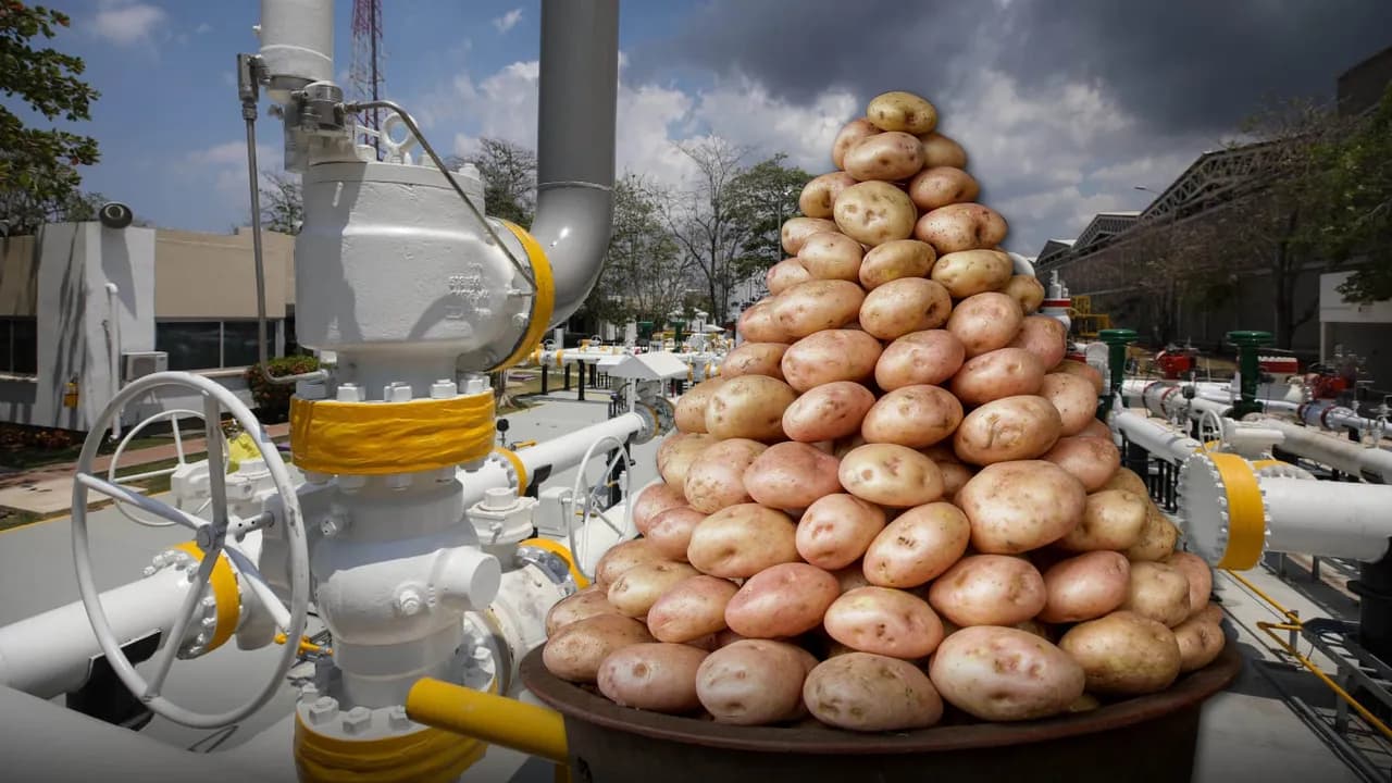 photologuephotos2022-10gas-papajpg photologuephotos2022-10gas-papajpg