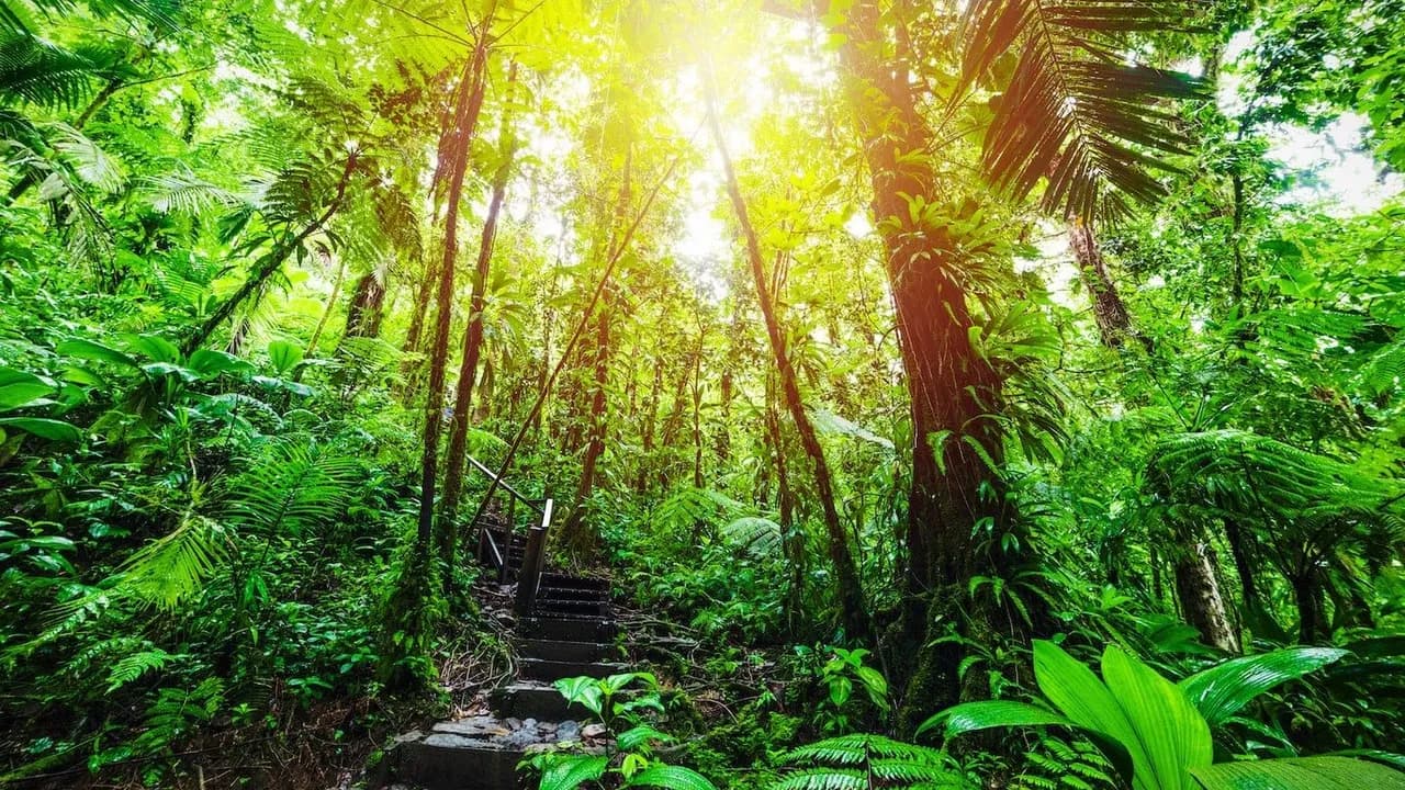 photologuephotos2022-04biodiversidad4credito_adobestockjpg photologuephotos2022-04biodiversidad4credito_adobestockjpg