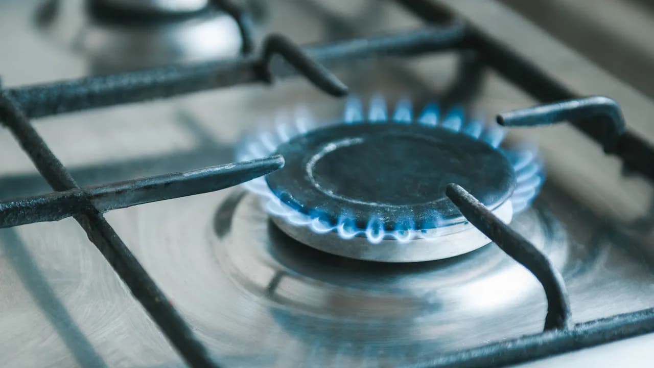 photologuephotos2022-11gas-kitchen-stove-with-blue-flames-burningjpg photologuephotos2022-11gas-kitchen-stove-with-blue-flames-burningjpg