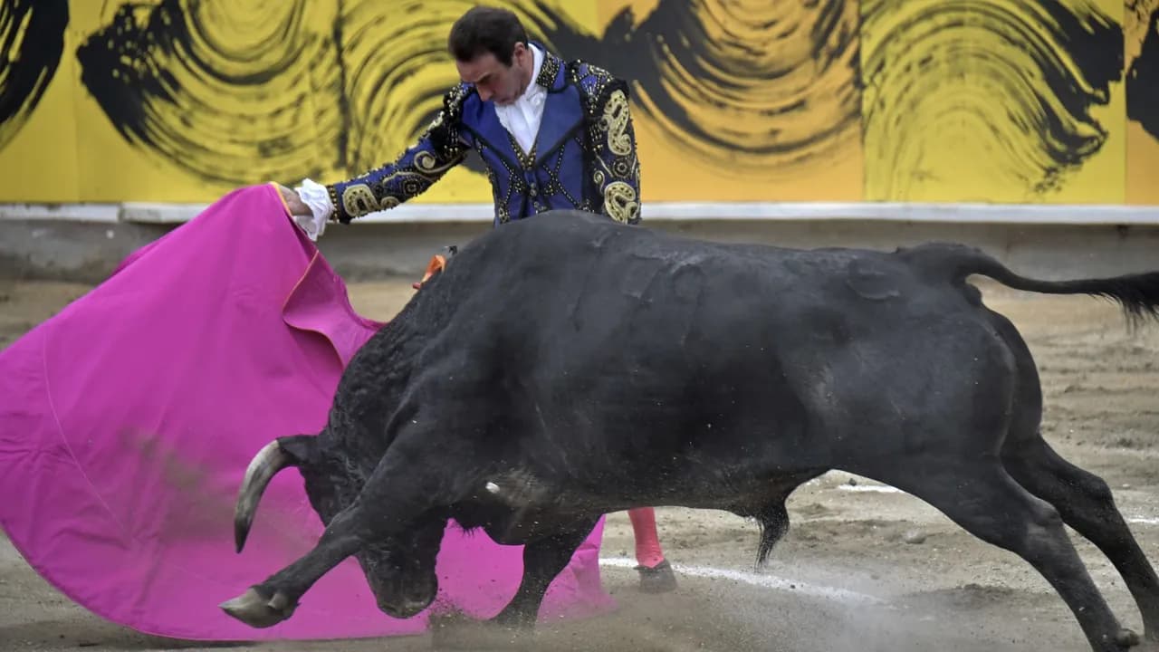 photologuephotos2022-12paso_adelante_en_la_prohibicion_de_las_corridas_de_toros_en_el_paisjpg photologuephotos2022-12paso_adelante_en_la_prohibicion_de_las_corridas_de_toros_en_el_paisjpg
