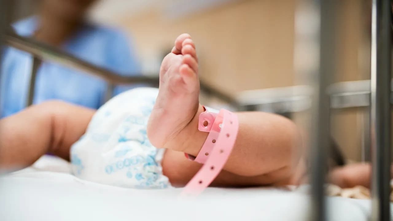 photologuephotos2023-01newborn-baby_2jpg photologuephotos2023-01newborn-baby_2jpg