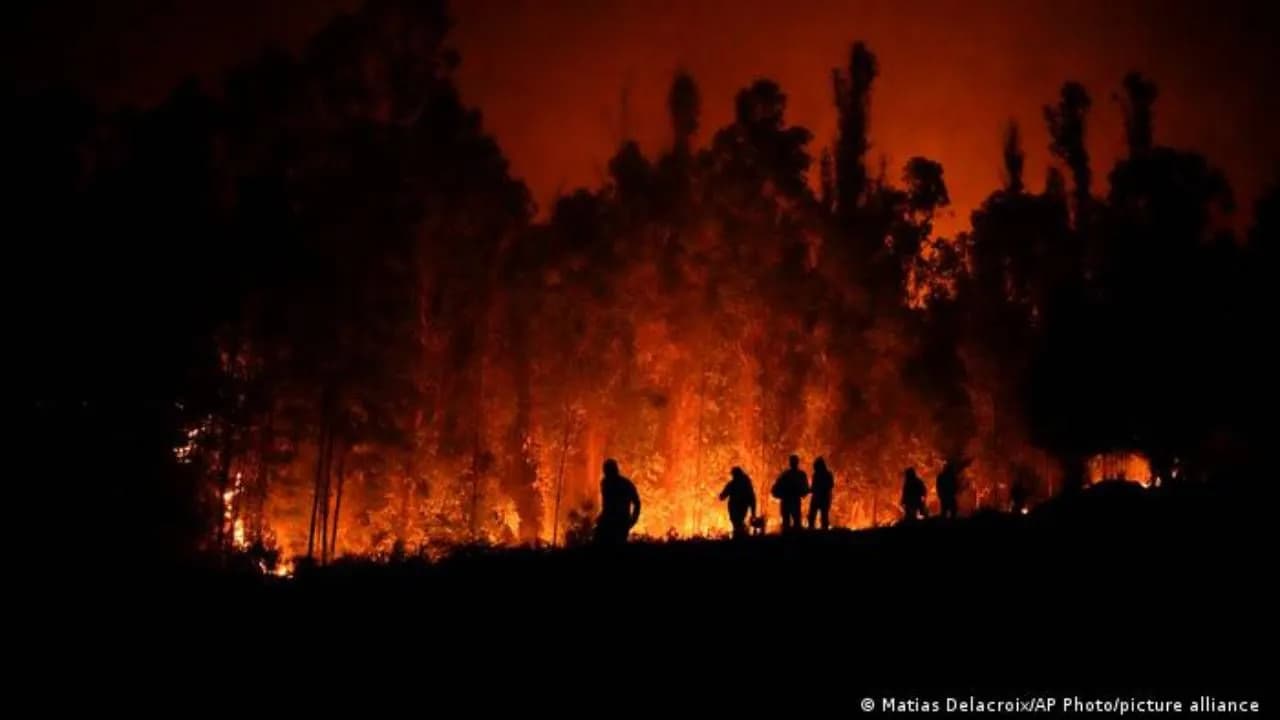 photologuephotos2023-02incendioschilejpg photologuephotos2023-02incendioschilejpg