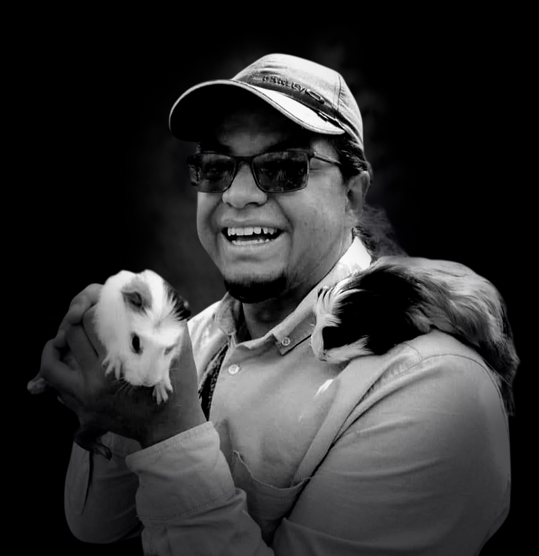 Imagen de perfil de Harol A. Villay Quiñones