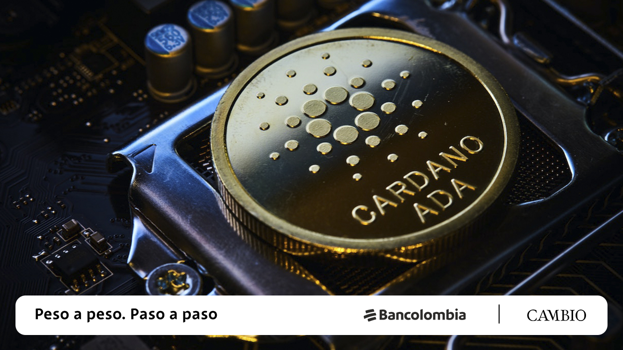 Cardano, caso de estudio en el mundo cripto | Cambio