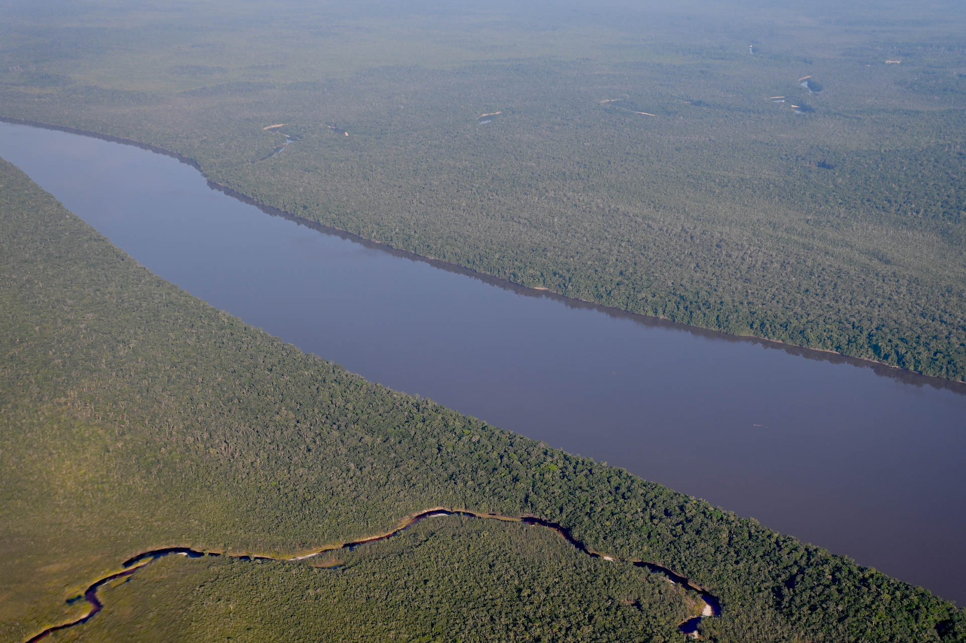 Degradación armada en los territorios indígenas amazónicos. ¿Hasta cuándo?  | Cambio