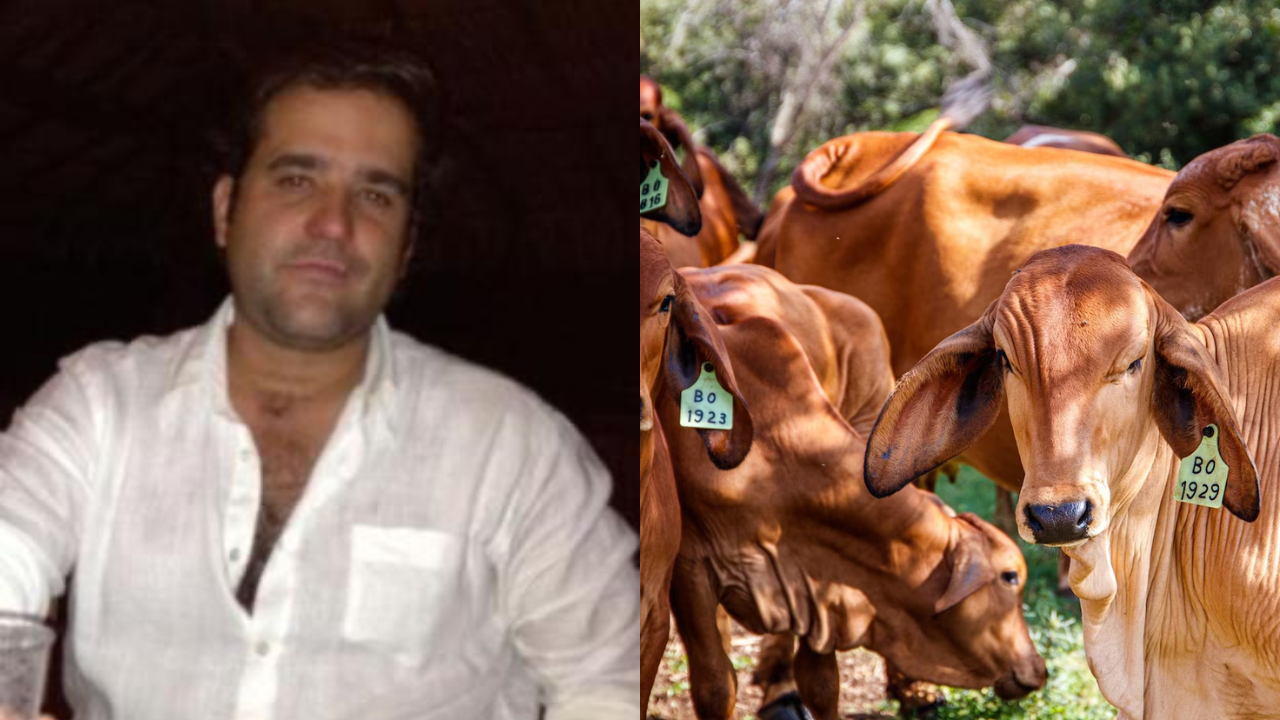 Pirámide ganadera: bienes de Felipe Rocha fueron incautados | Cambio