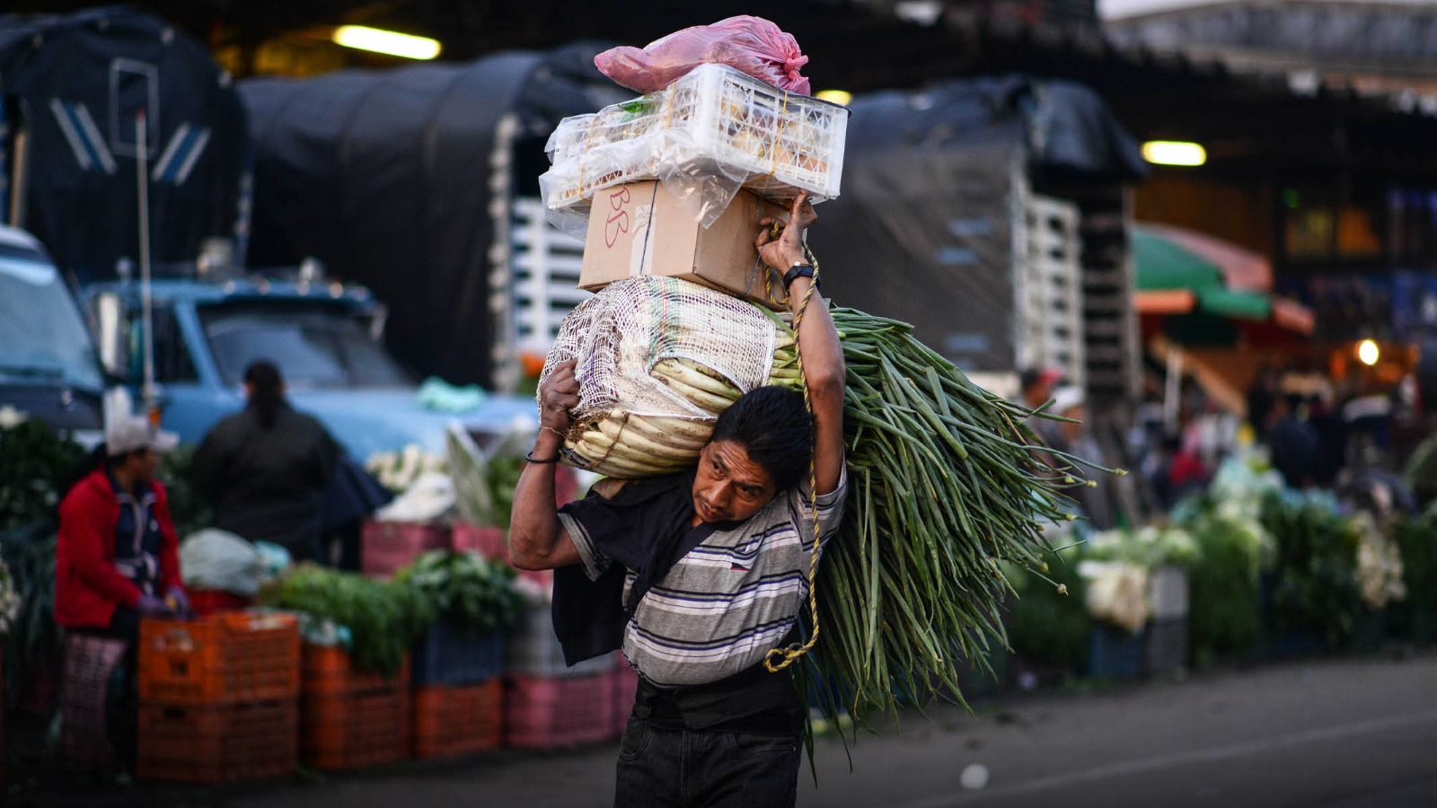 &iquest;Cu&aacute;les son los sectores de la econom&iacute;a con mayor informalidad?
