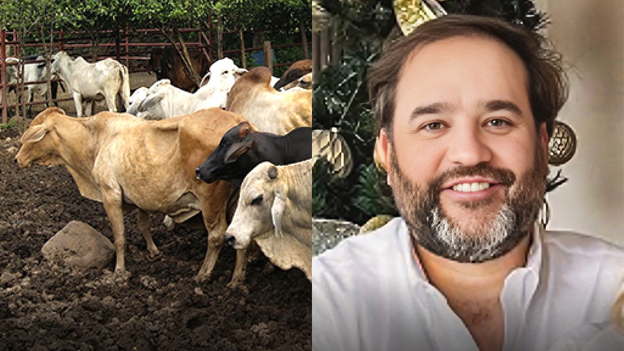 Líder de pirámide ganadera está negociando un preacuerdo con la Fiscalía