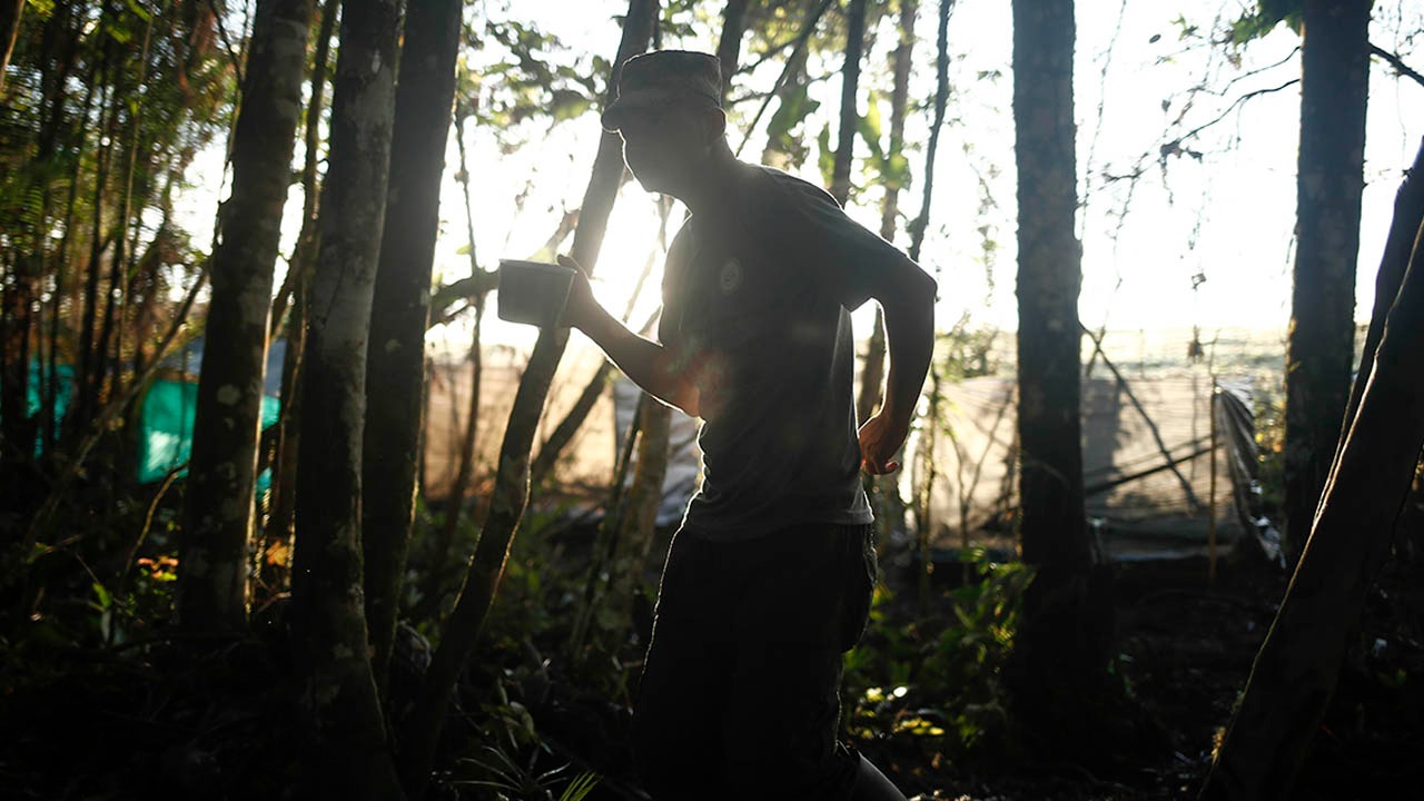 Ministro de Defensa pide mayor compromiso del Estado Mayor Central para cumplir con el cese al fuego