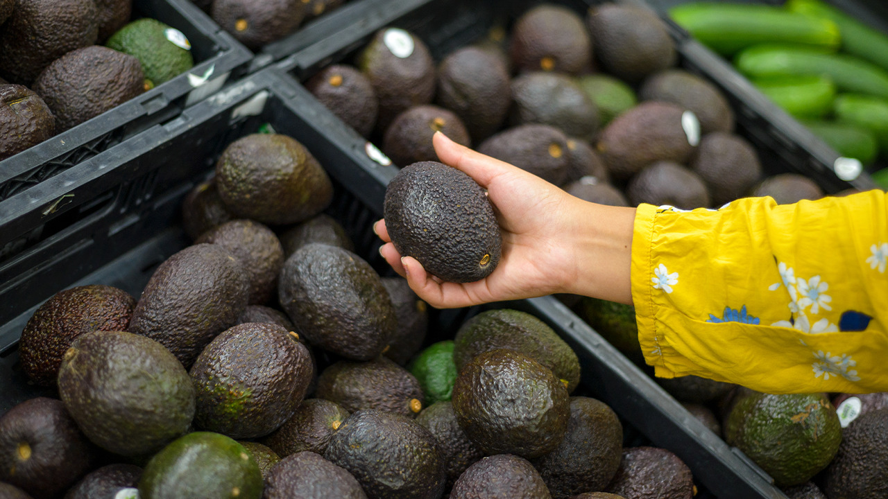Cómo el aguacate hass de Colombia conquistó el mercado global?