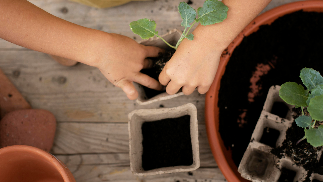 ¿Cómo tener una huerta en casa? Estos son los alimentos que puede cultivar desde su hogar