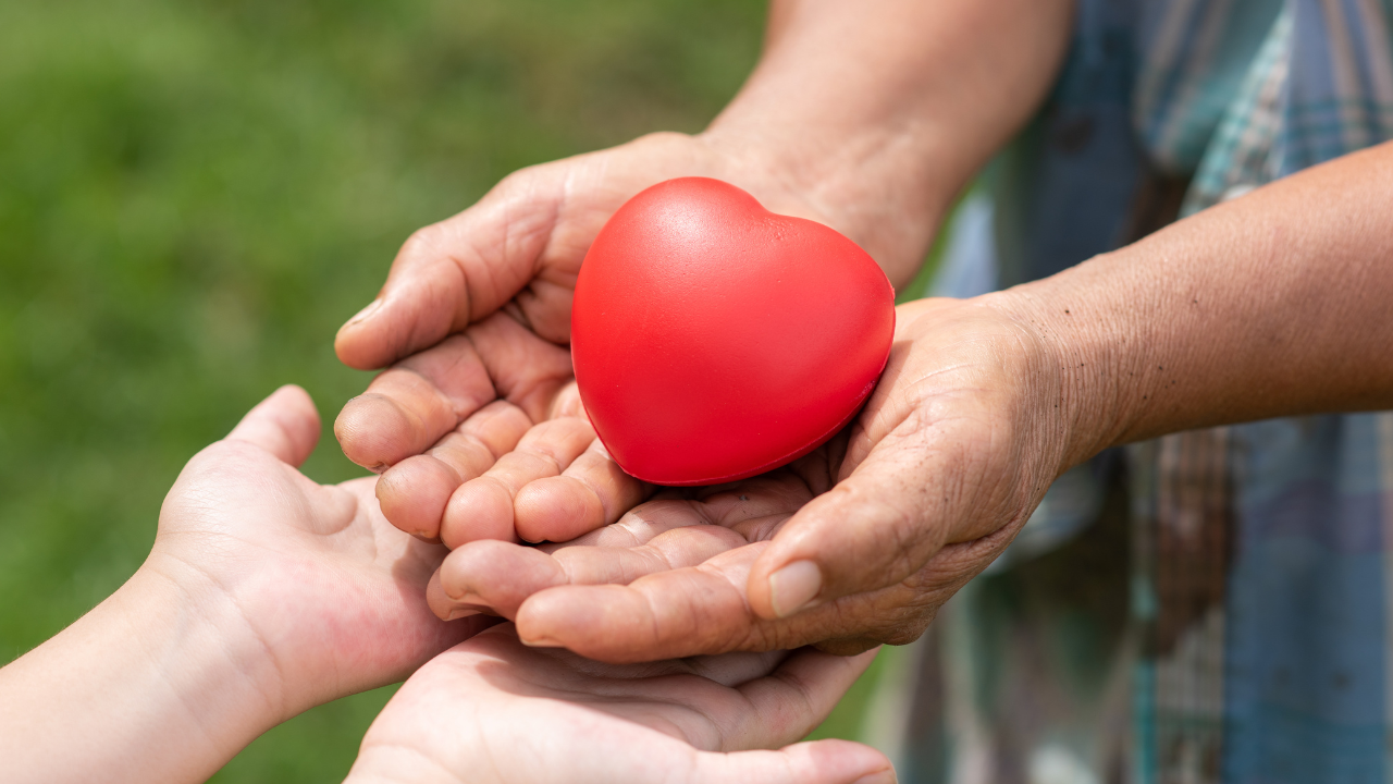 De acuerdo con la Fundación Valle de Lili, en una sola cirugía de trasplante pueden llegar a participar hasta 150 personas entre médicos y profesionales de la salud, además de requerir la intervención simultánea de 4 y 5 quirófanos | Crédito: Freepik