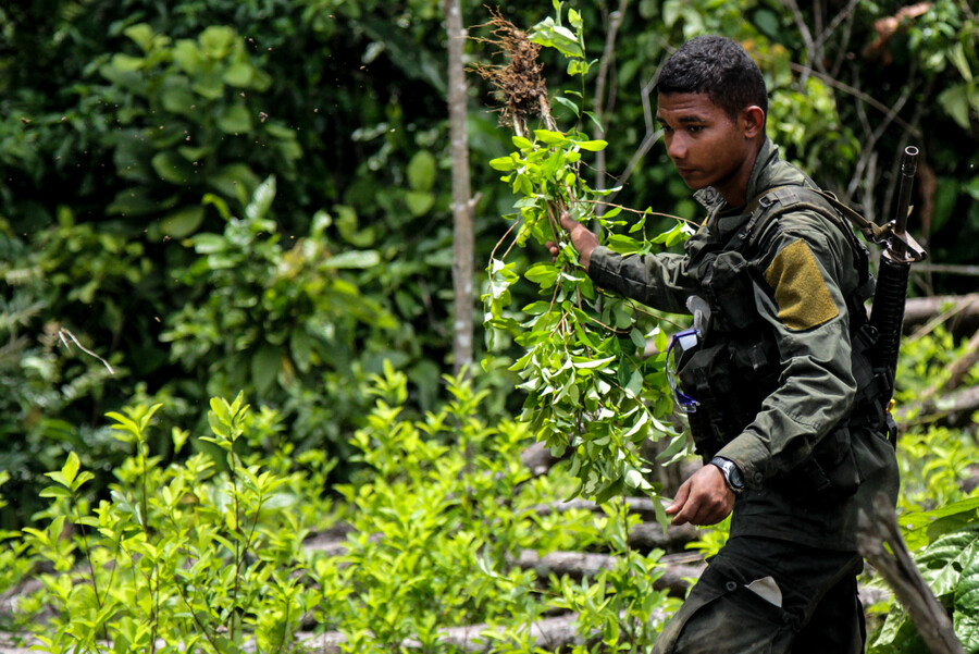 El presidente Gustavo Petro ha insistido en una política antidrogas  de aumentar las  tareas de interdicción  y proteger al campesino que cultiva coca.