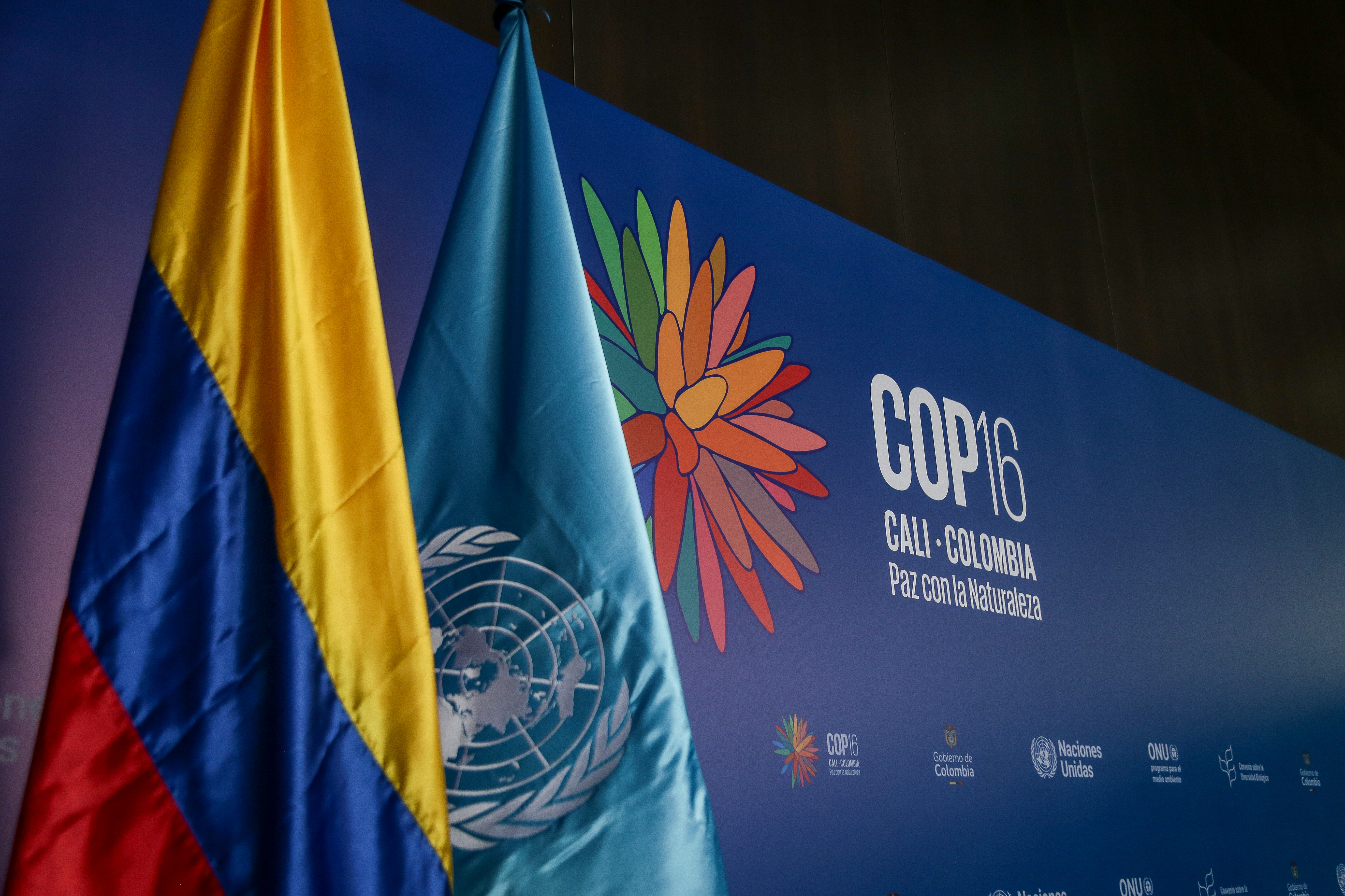 Crédito: Colprensa. Cumbre Anual Ambiental COP 16, celebrada en Cali en 2024.