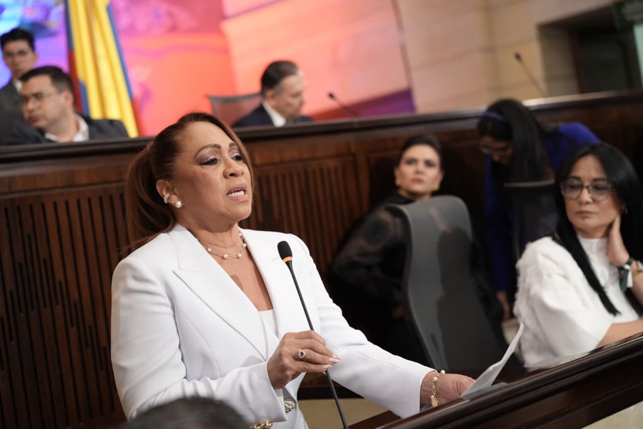 Marelen Castillo, representante a la Cámara