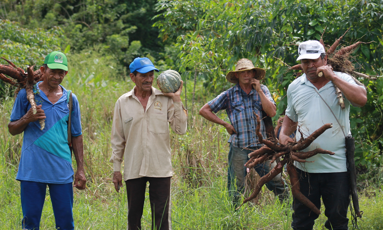 Feliciano Samudio, Ángel Solano, Julio Benítez y Ernesto Ortiz, miembros de Acaprosin, la asociación campesina de Laguna Flor, en Sincelejo. Foto Ana María Cañón.