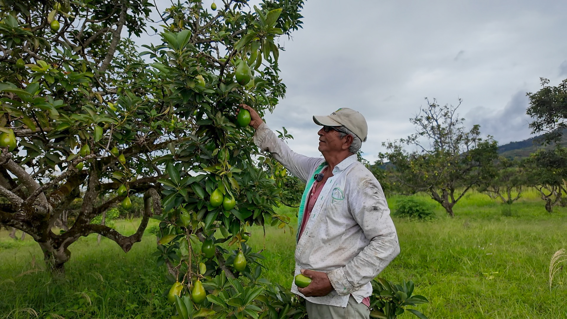 Los afectados por el megaproyecto de generación de energía eran habitantes de Altamira, Garzón, Agrado, Gigante, Tesalia y Paicol. Foto: CAMBIO.