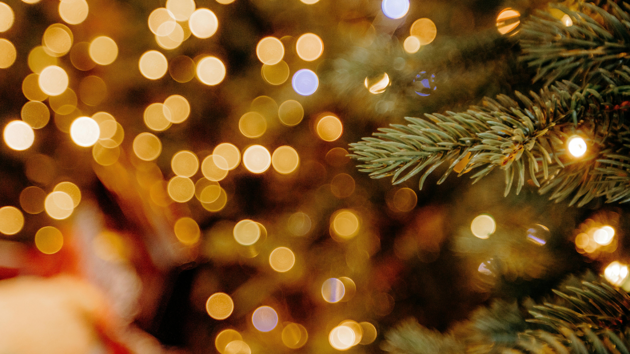 Imagen principal del artículo 'Novena de Aguinaldos, Día 7: Guía de oración y reflexión para el 22 de diciembre'