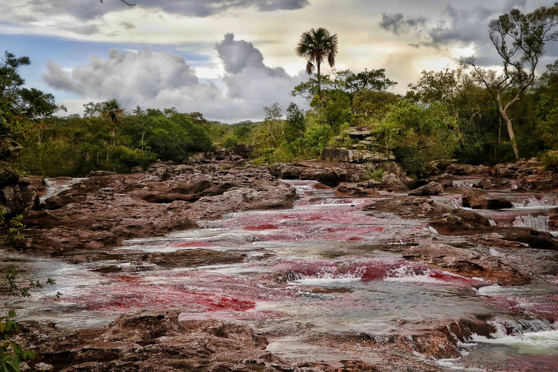 Caño Cristales. | Foto: Gobernación del Meta.