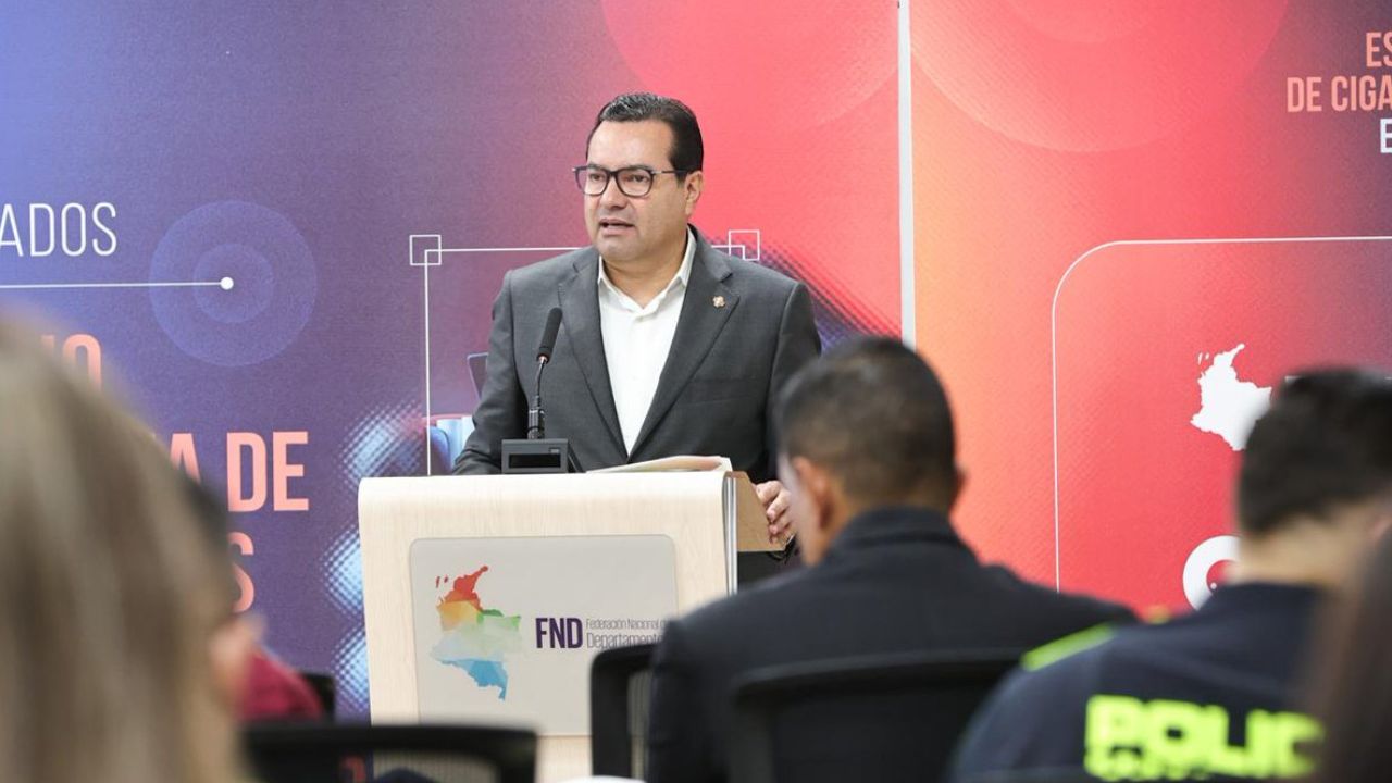 Didier Tavera, director ejecutivo de la Federación Nacional de Departamentos (FND). | Foto: FND