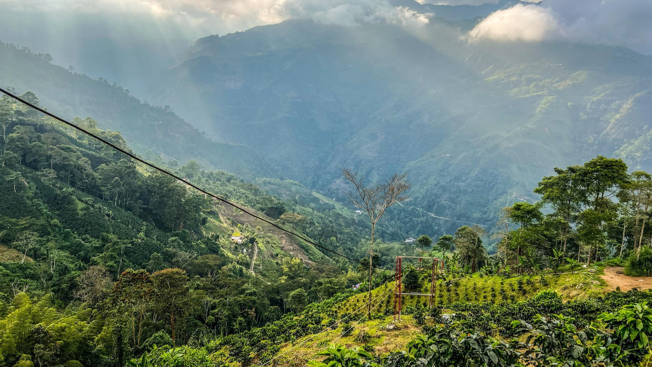 Paisaje cafetero. Foto: Pixabay