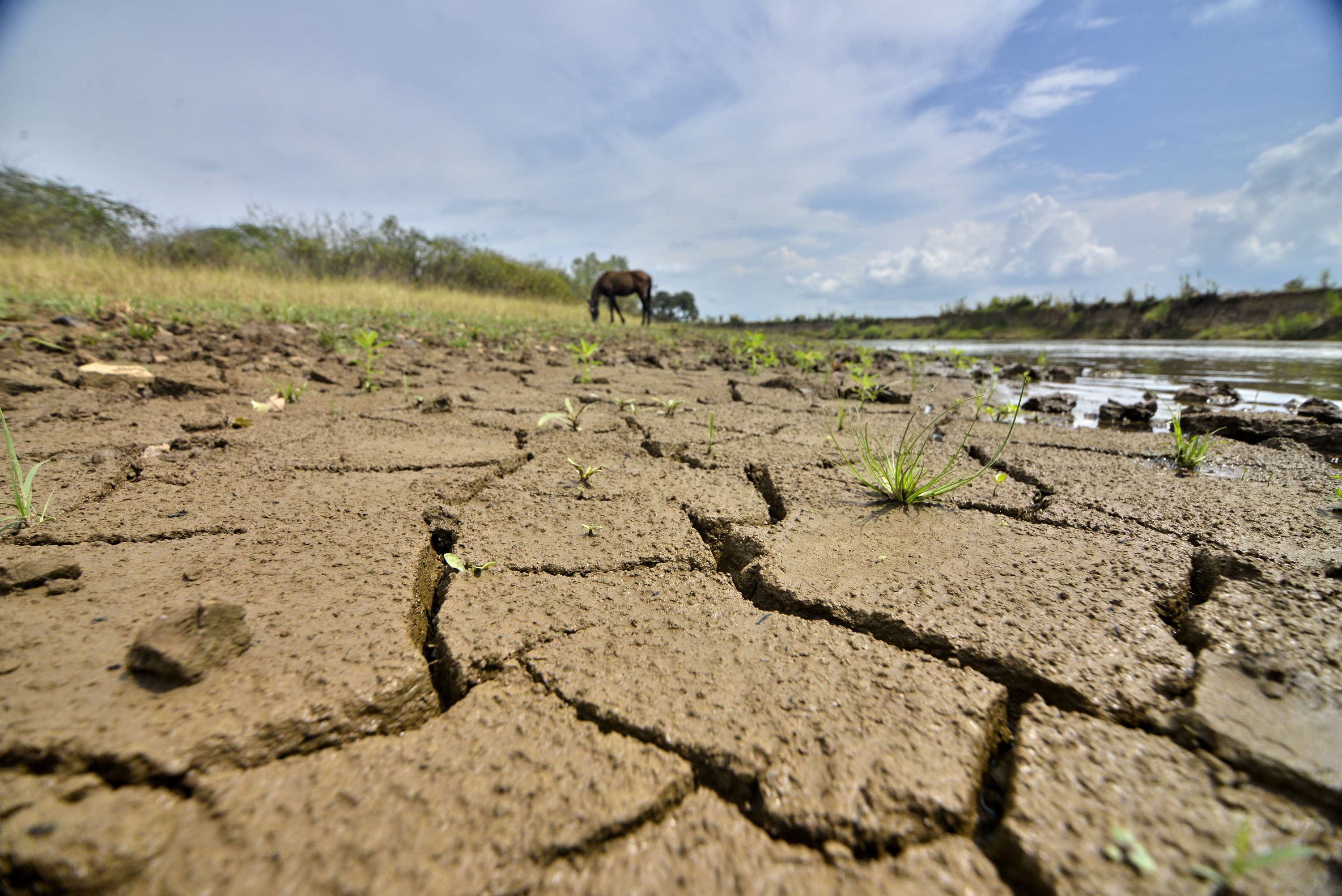 El fenómeno de El Niño podría reducir las lluvias en regiones Caribe, Andina y Pacífica del país