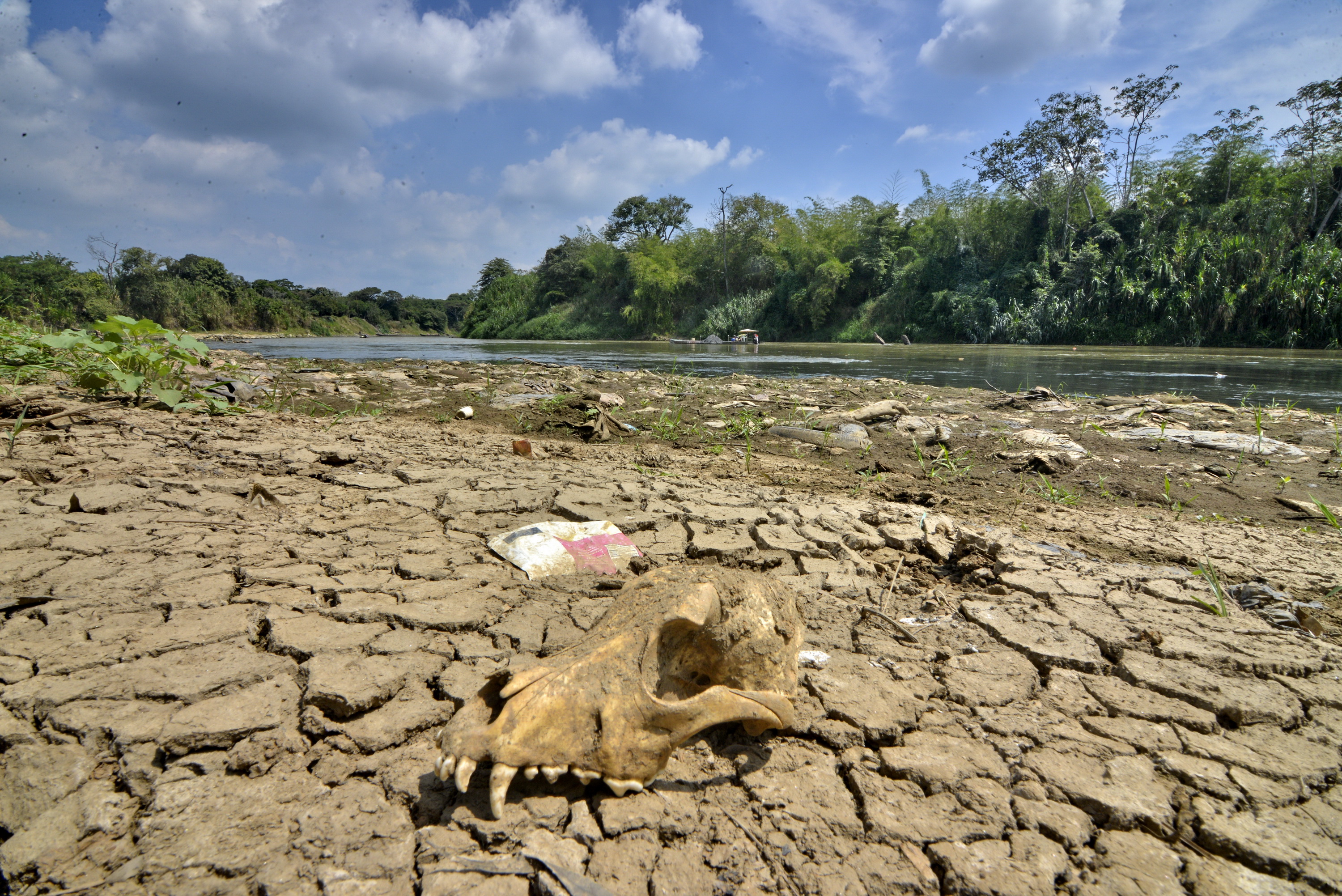 Autoridades ambientales alertan por posible fenómeno de El Niño en el segundo semestre de 2026