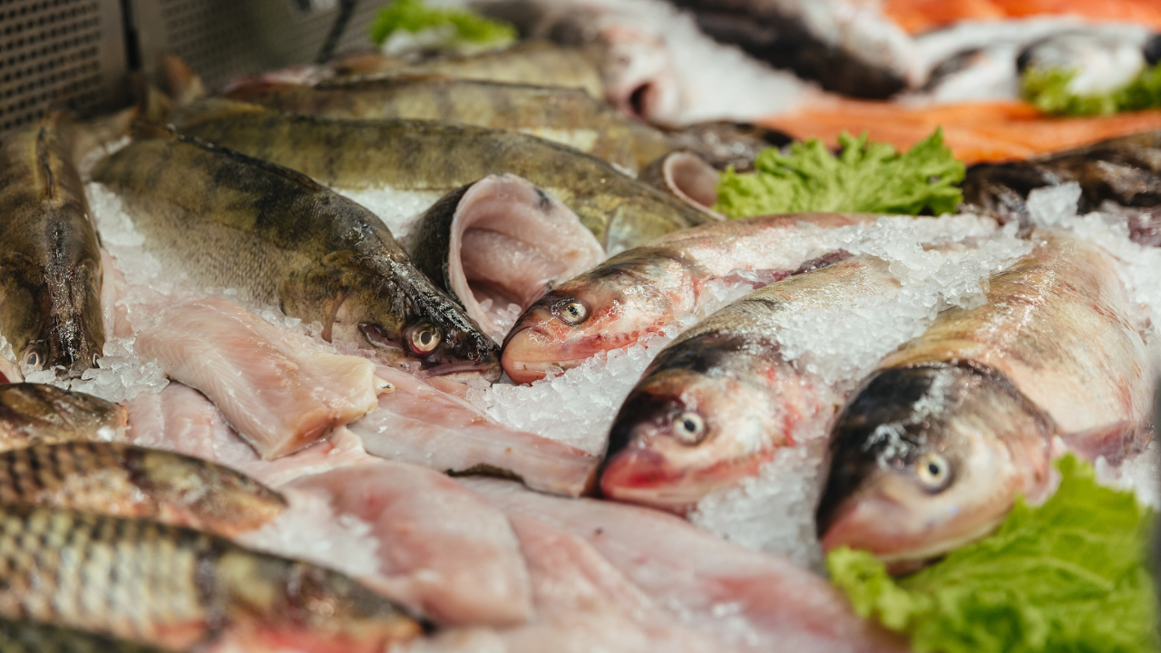 En Semana Santa aumentan los viajes, las reuniones familiares y el consumo de alimentos como mariscos y bebidas alcohólicas - Crédito: Freepik.